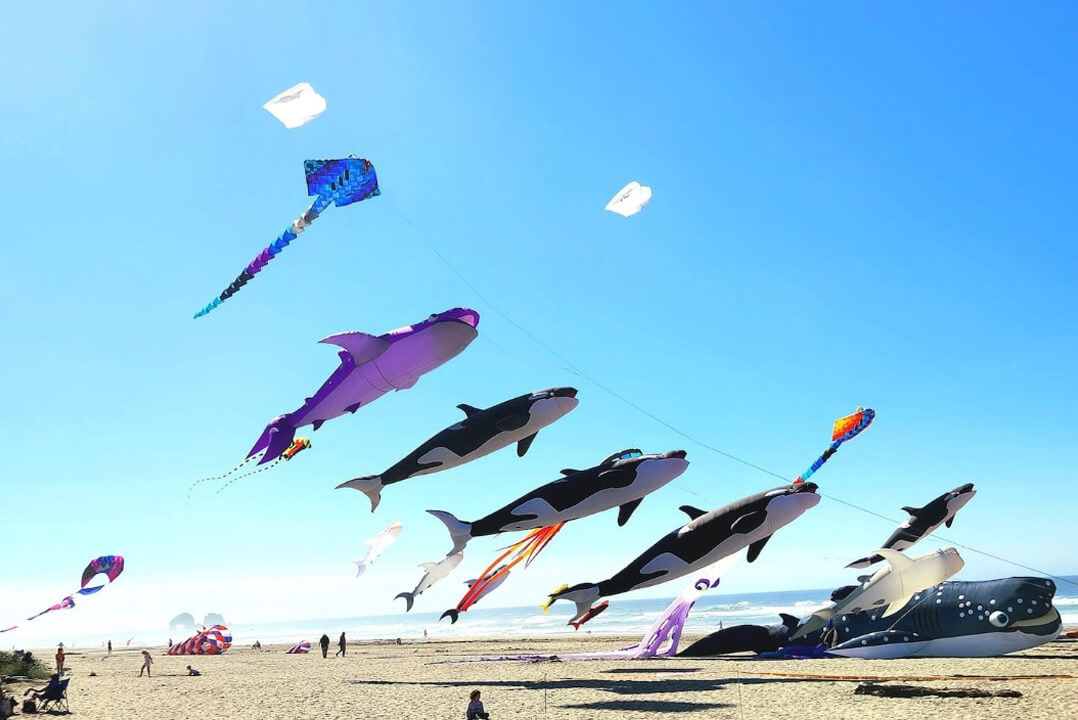 Beach Break Rockaway Beach Oregon Kites